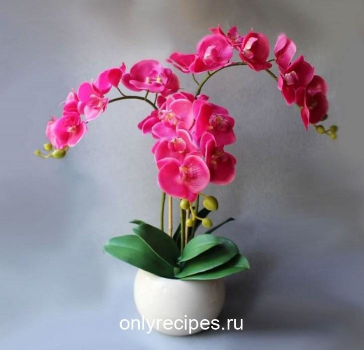 Копеечное удобрение для орхидей. Всего пару поливов, и ты не узнаешь свои цветы. kopeechnoe-udobrenie-dlya-orhidey-vsego-paru-polivov-i-ty-ne-uznaesh-svoi-cvety-6-3210124