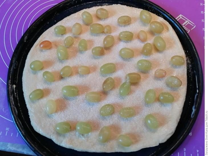 pirog-s-vinogradom-ili-privet-iz-toskany-ot-babushki-romildy-2-5665917